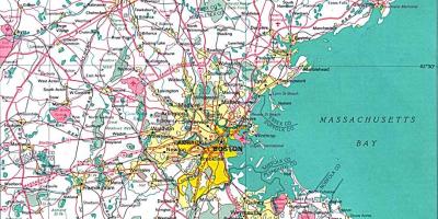 Peta greater Boston